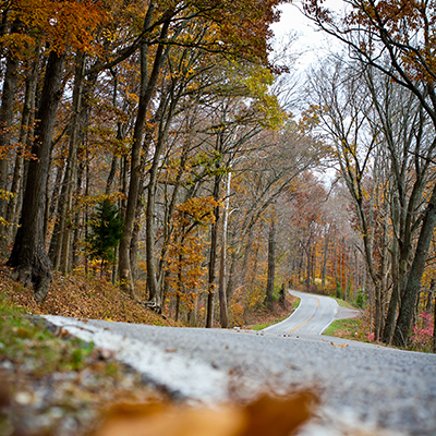 Scenic Country Roads