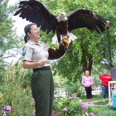 Raptor Rehabilitation Events