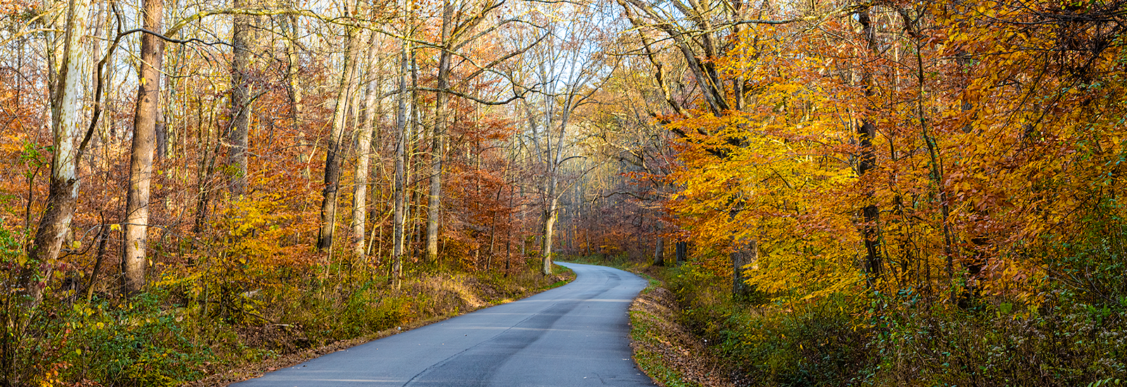 Scenic Scott County