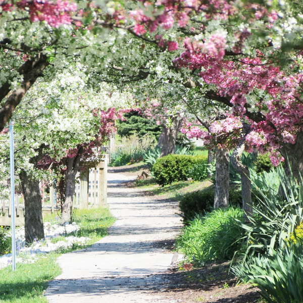 William H. Graham Park / Lake Iola