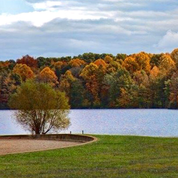 Hardy Lake State Recreation Area - Swimming Beach